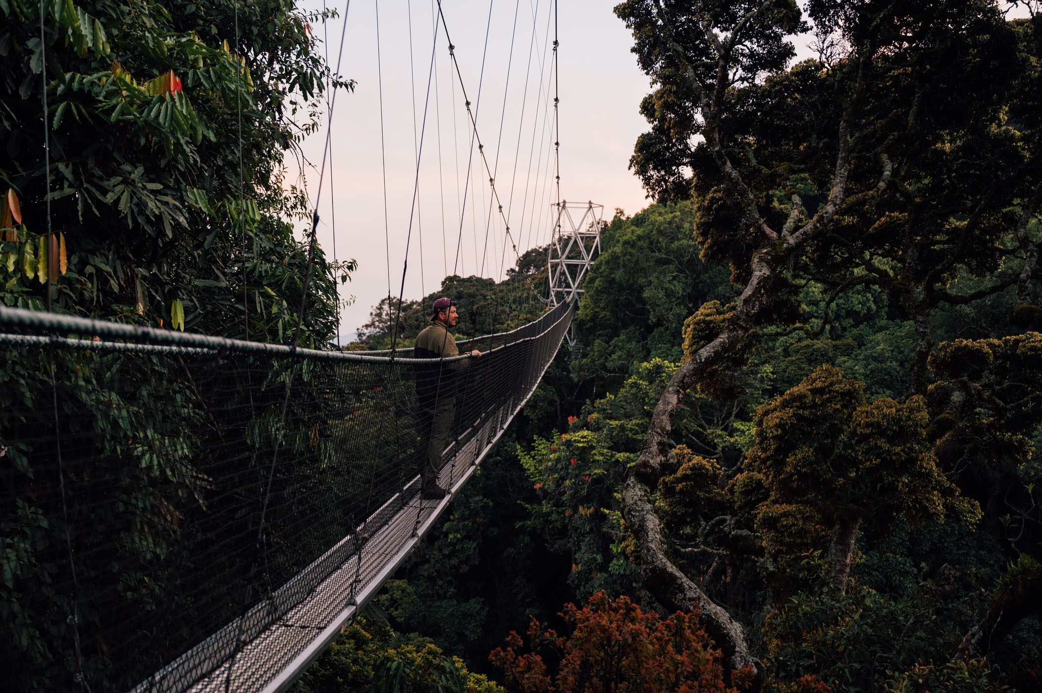 Multi-Country Journey