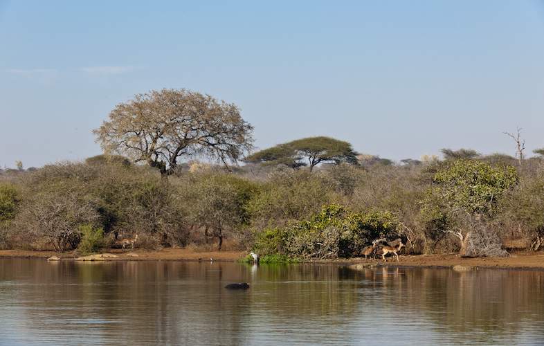 Kruger Wilderness